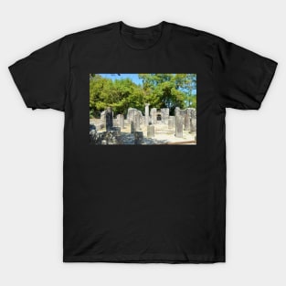 A View of Albania T-Shirt